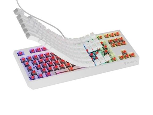 Клавиатура Genesis Gaming Keyboard Thor 230 TKL US RGB Mechanical Outemu Red White Hot Swap