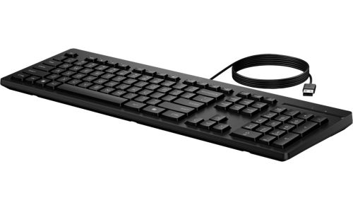Клавиатура HP 125 Wired Keyboard