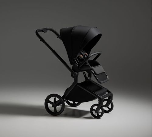 Бебешка количка 2 в 1 ANEX Flo Lungo 2025