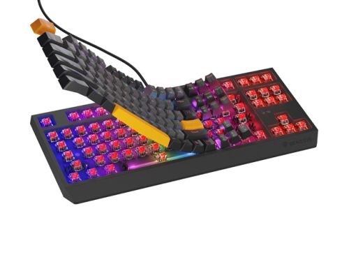 Клавиатура Genesis Gaming Keyboard Thor 230 TKL Anchor Gray Negative US RGB Mechanical Outemu Red