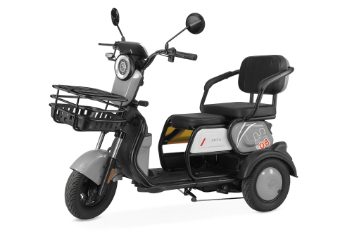  Електрическа триколка X3/LYL-004 (Sheng Xilong )