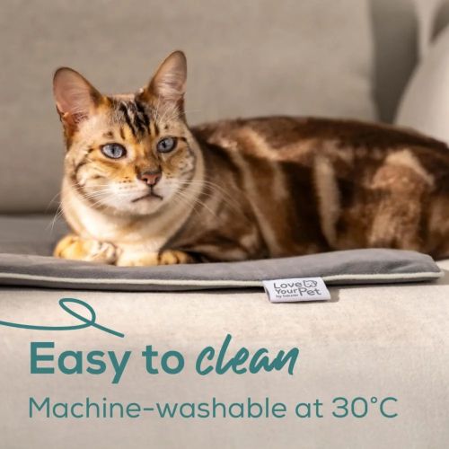 Термоподложка Beurer PP 220 Sammy Large heating mat for dogs and cats; Proven safety; Integrated bite protection on the power cable&protected heating element; Machine-washable cover and waterproof heating element